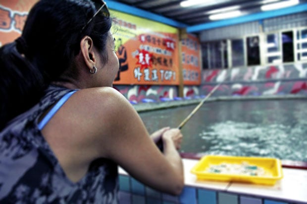 Urban Shrimping, Taipei City