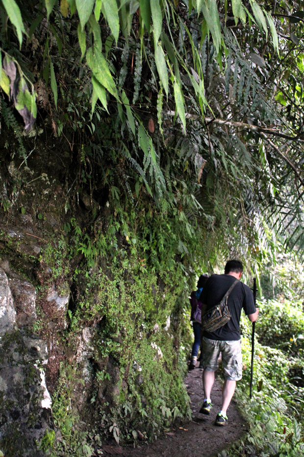 Tappiya Falls in Batad Rice Terraces, Banaue, Ifugao