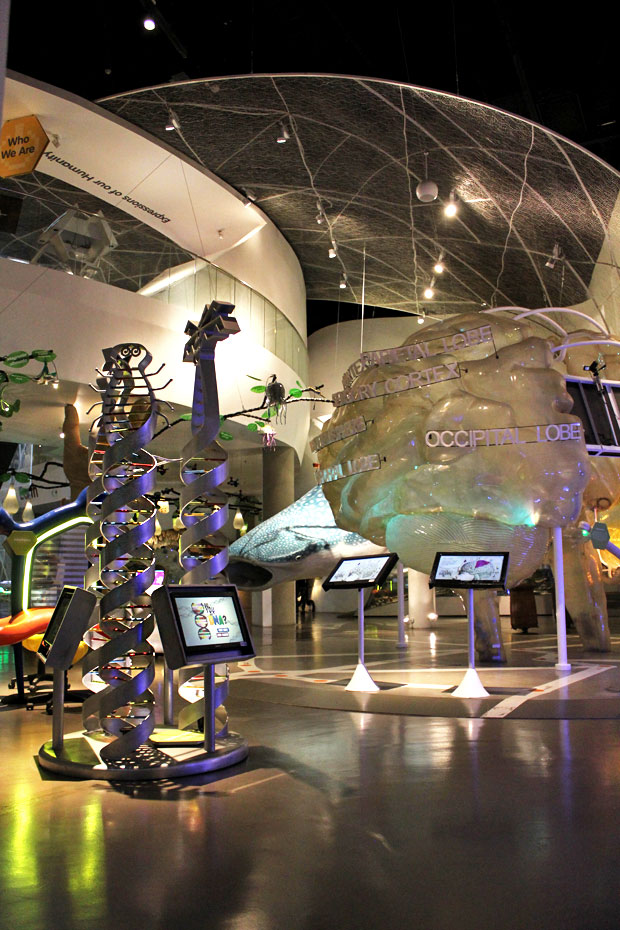 The Mind Museum, Bonifacio Global City, Taguig, Philippines