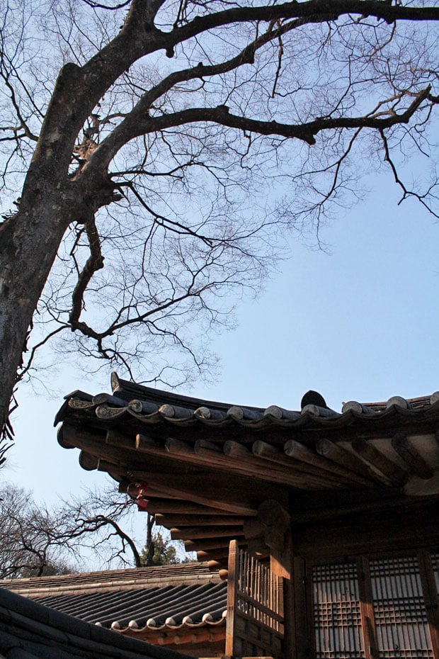 Changdeokgung & Gyeongbokgung Palaces, Seoul, South Korea