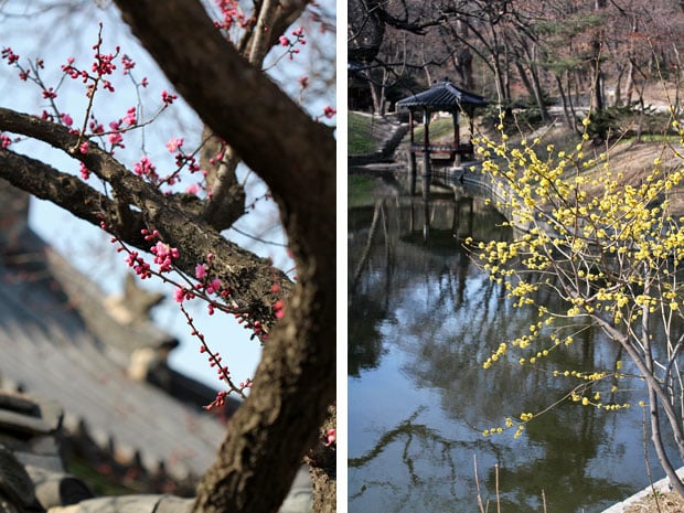 Changdeokgung & Gyeongbokgung Palaces, Seoul, South Korea