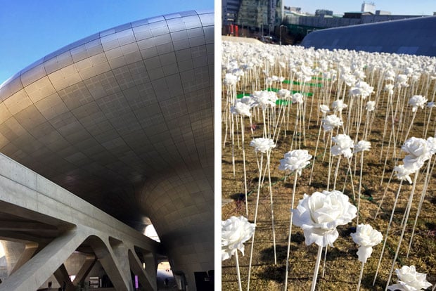 Get Artsy at Dongdaemun Design Plaza in Seoul, South Korea