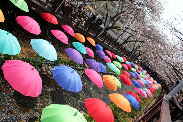 Spend the Day in Jinhae, Home of South Korea's Biggest Cherry Blossom Festival!