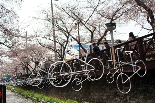 Spend the Day in Jinhae, Home of South Korea's Biggest Cherry Blossom Festival!