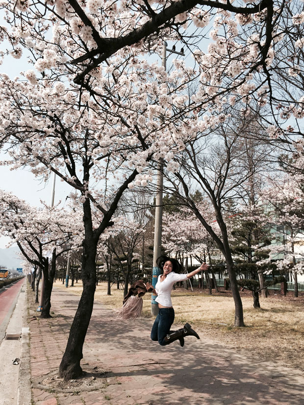 Spend the Day in Jinhae, Home of South Korea's Biggest Cherry Blossom Festival!