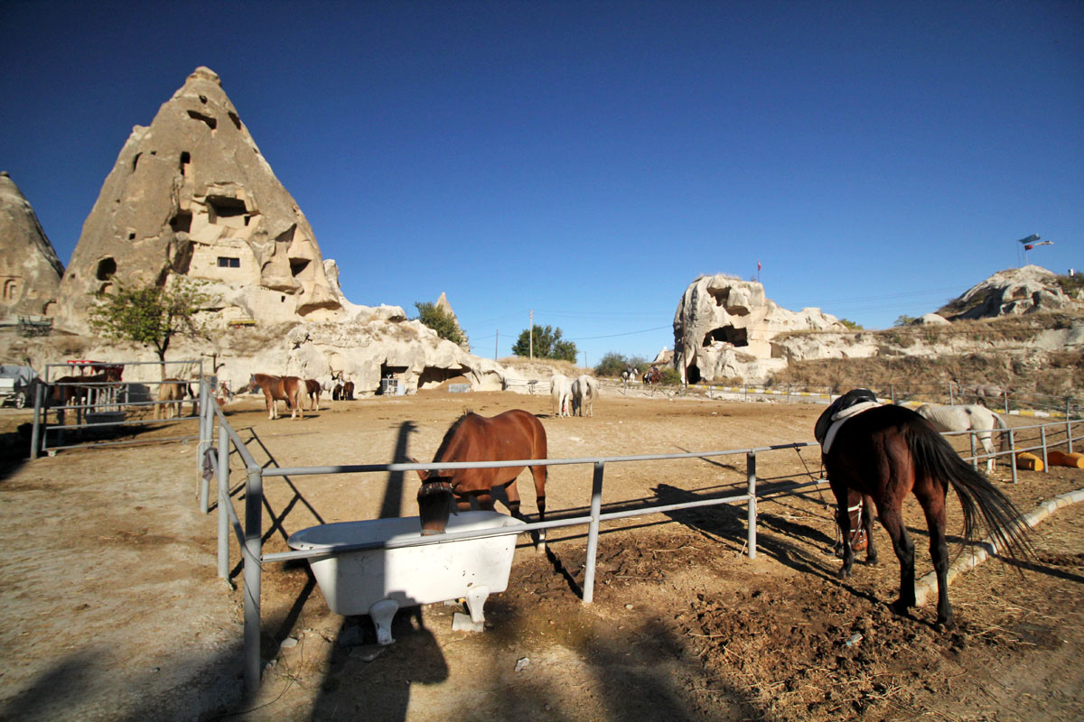 Exploring the Moonscape of Cappadocia, Turkey on Horseback