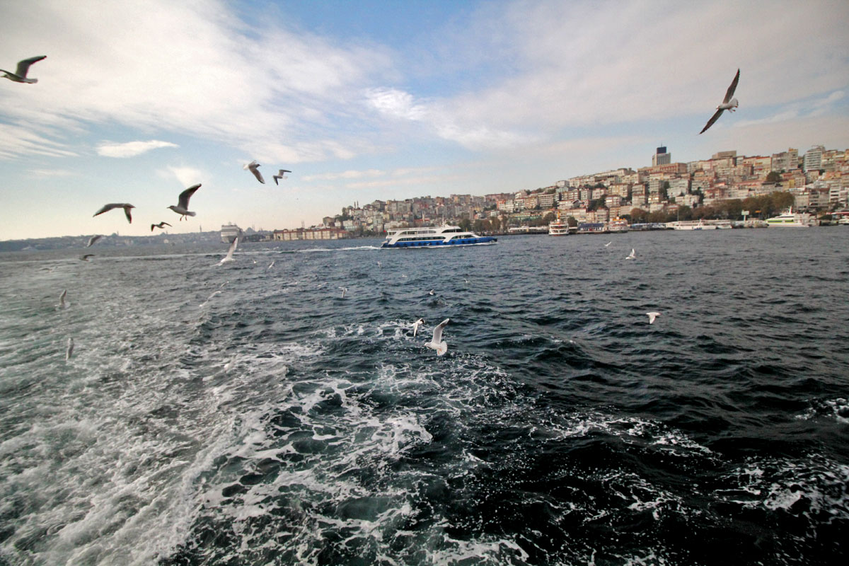 Take a Cruise on the Bosphorus with Şehir Hatları in Istanbul, Turkey