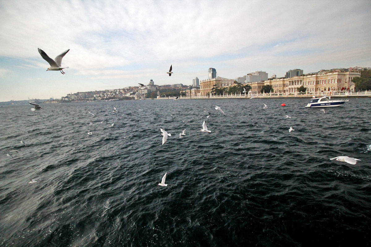 Take a Cruise on the Bosphorus with Şehir Hatları in Istanbul, Turkey