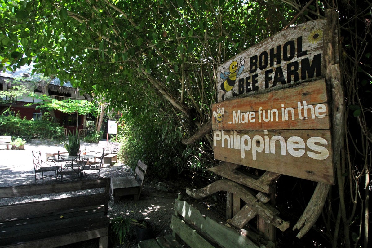 Bohol Bee Farm:  Where to Eat in Panglao, Bohol, the Philippines