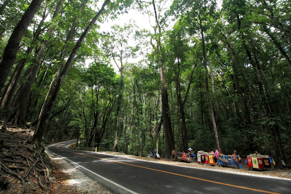 The Countryside Tour:  An Express Ticket to All of Bohol's Major Tourist Attractions