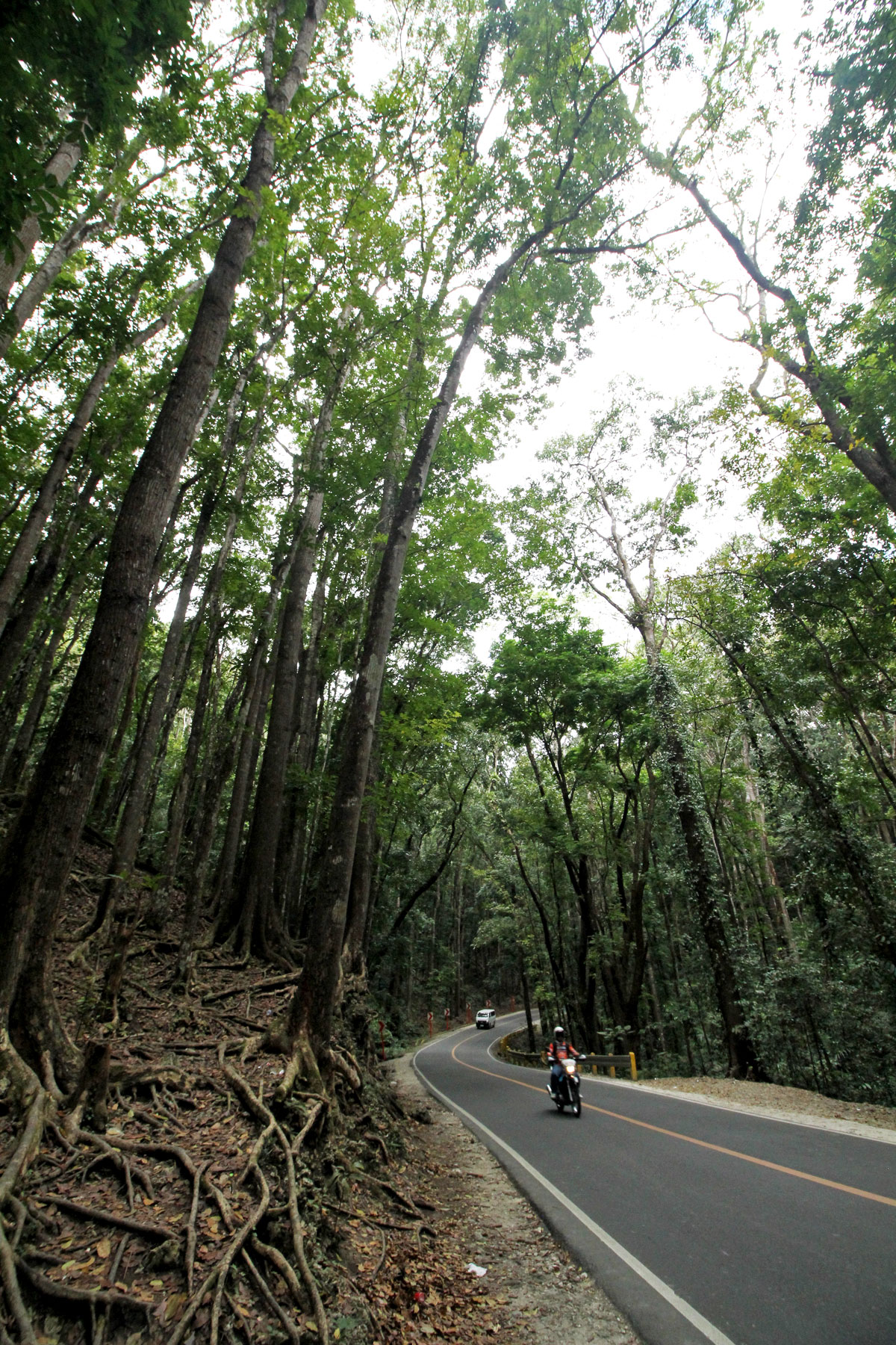 The Countryside Tour:  An Express Ticket to All of Bohol's Major Tourist Attractions