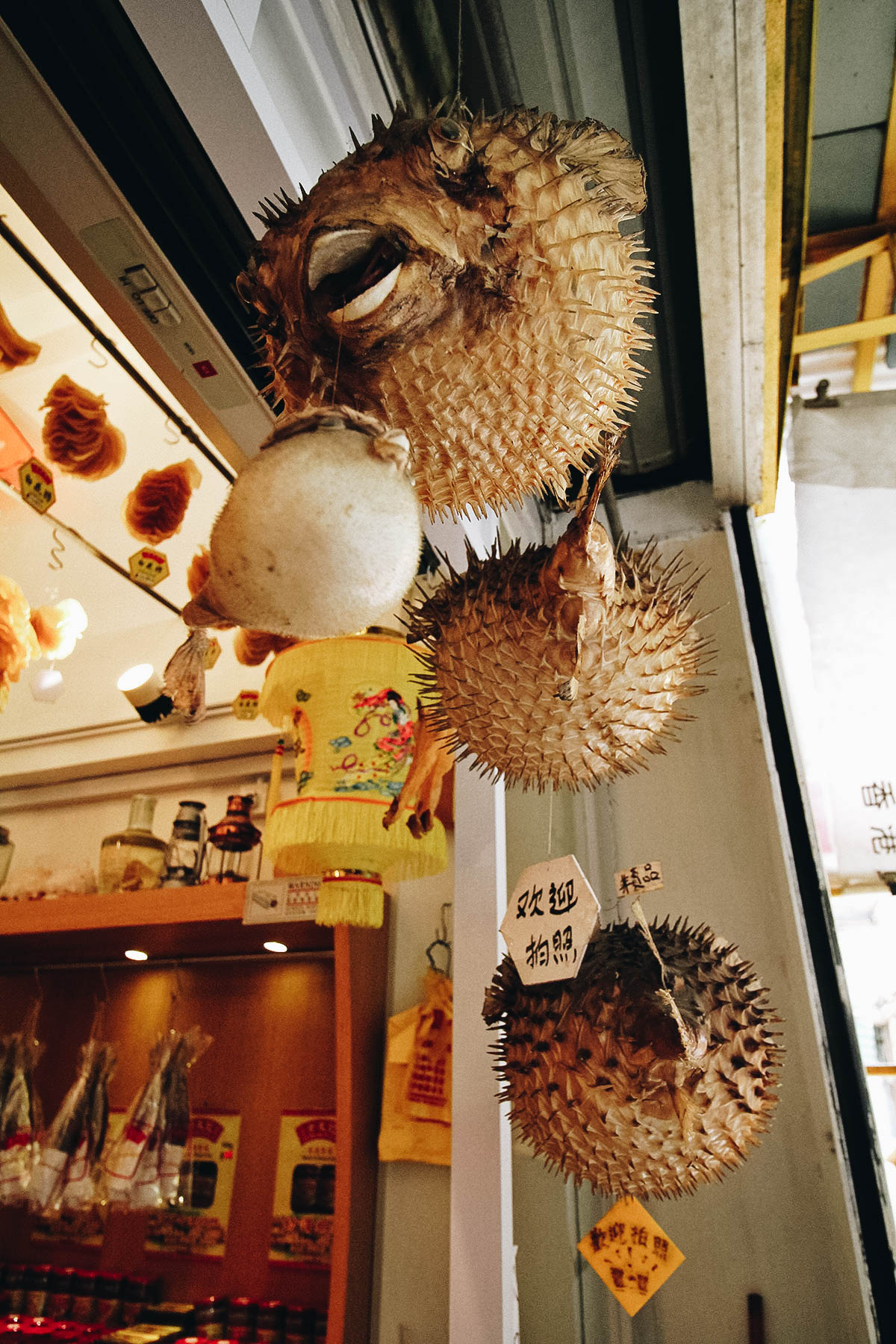 A Cable Car, a Giant Buddha, and a Streetful of Seafood on Lantau Island, Hong Kong