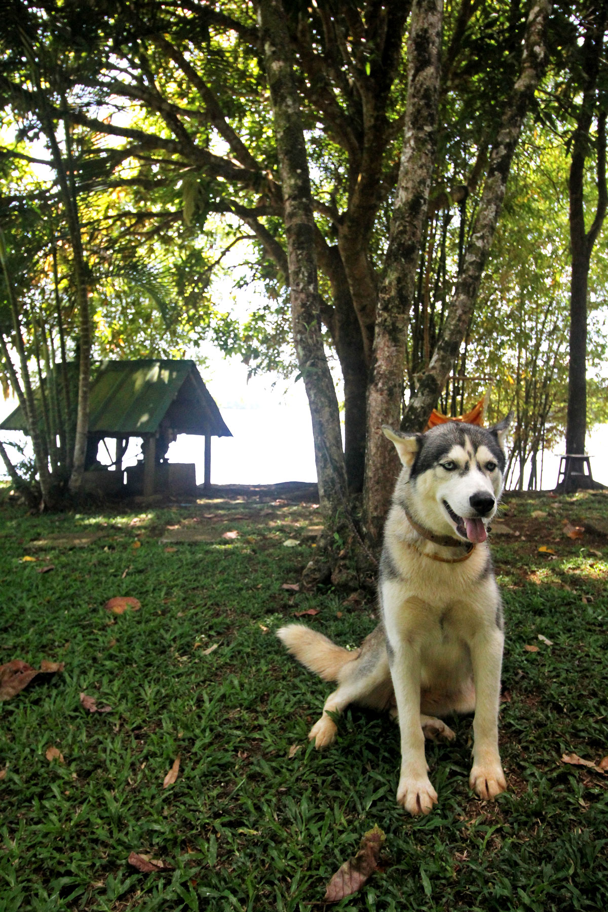 Sundang Island: The Island Near Manila You can Rent Off AirBnB