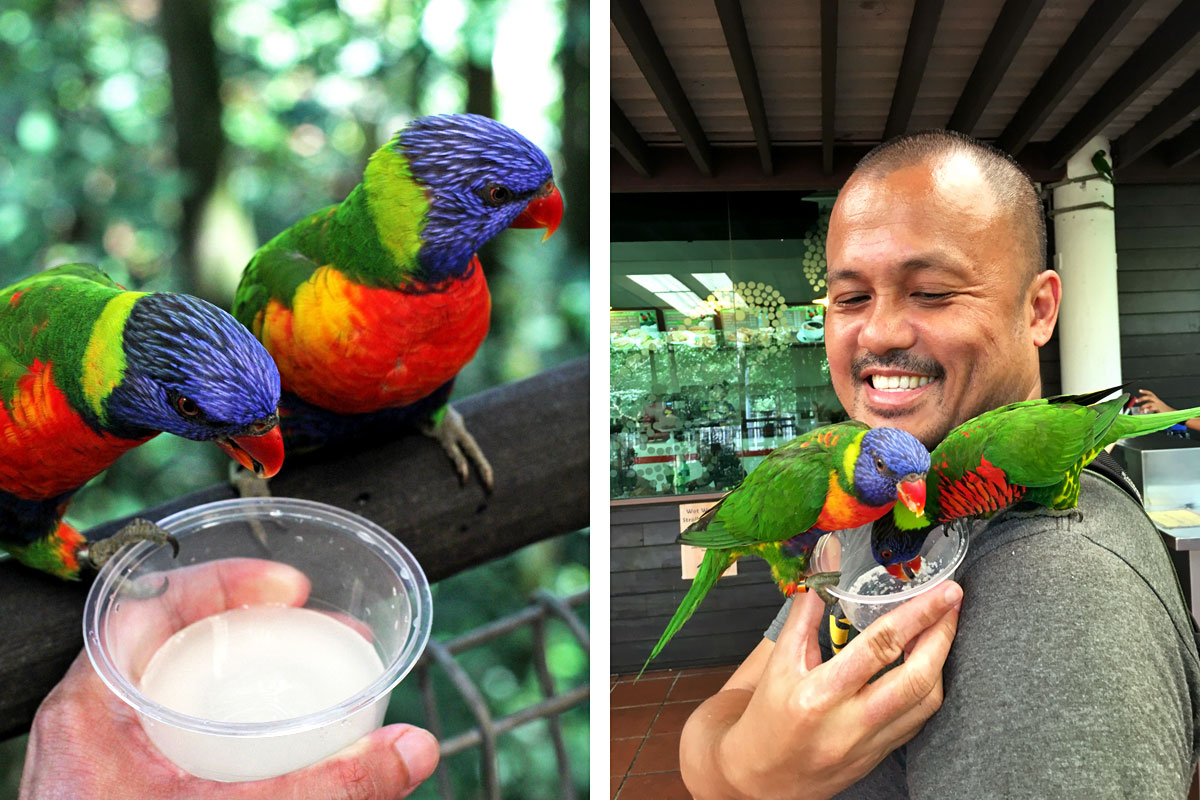 Jurong Bird Park, Singapore