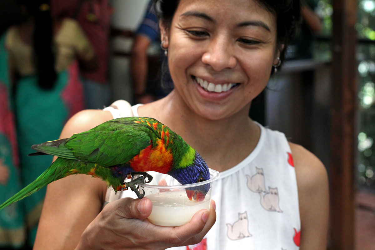 Jurong Bird Park, Singapore