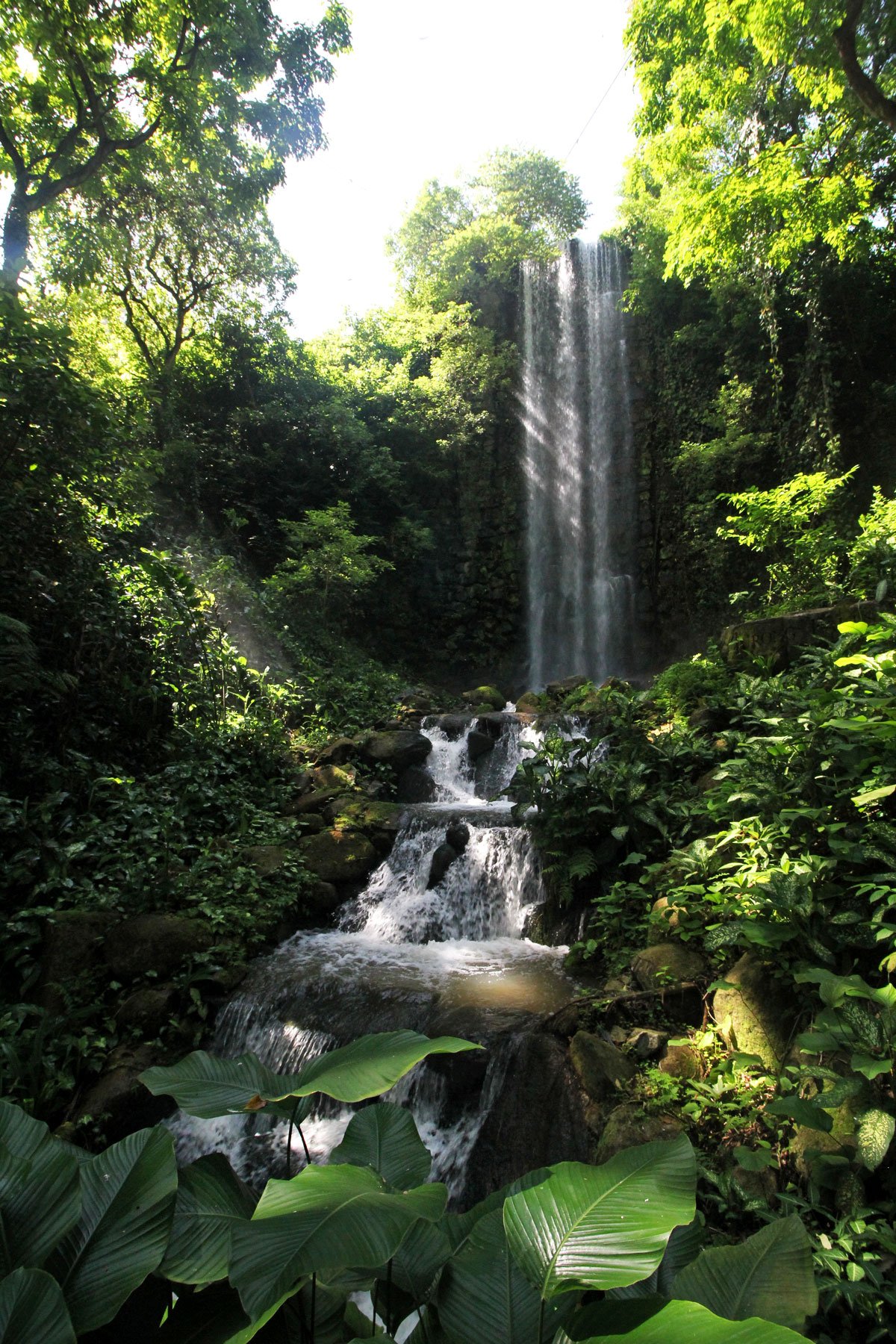 Jurong Bird Park, Singapore