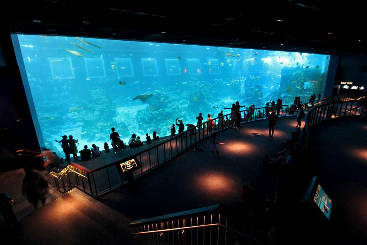 S.E.A. Aquarium, Resorts World Sentosa, Singapore