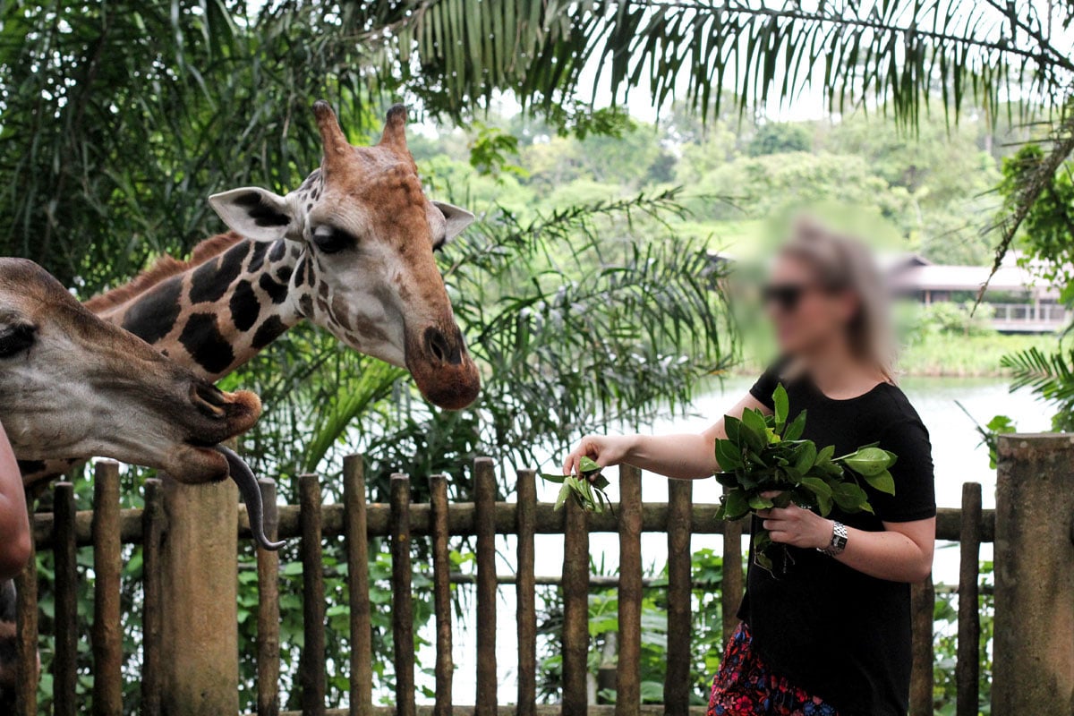 Singapore Zoo