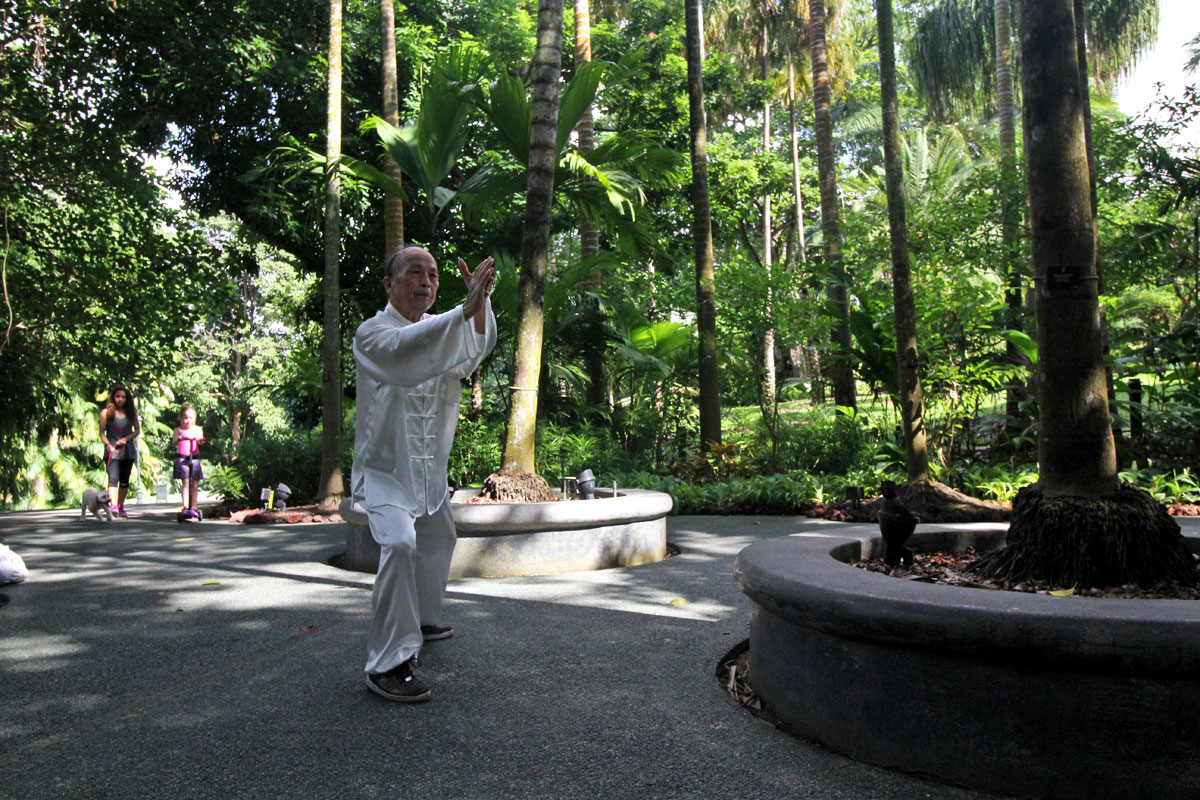 See the World's Biggest Display of Orchids at the National Orchid Garden in Singapore