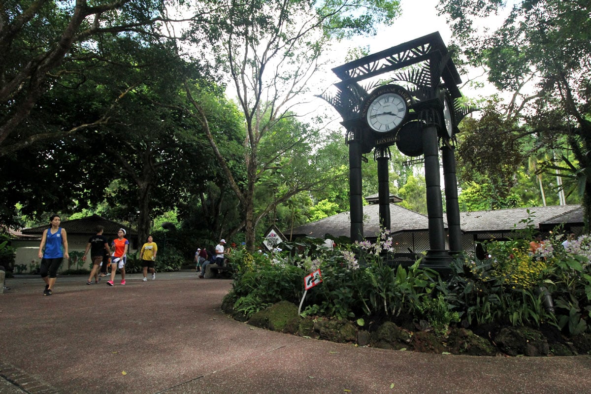 See the World's Biggest Display of Orchids at the National Orchid Garden in Singapore