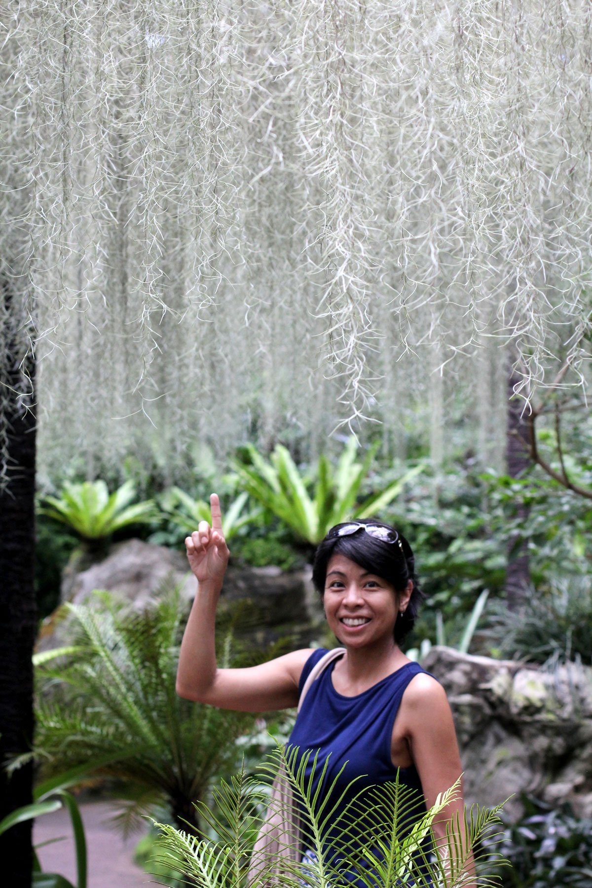 See the World's Biggest Display of Orchids at the National Orchid Garden in Singapore