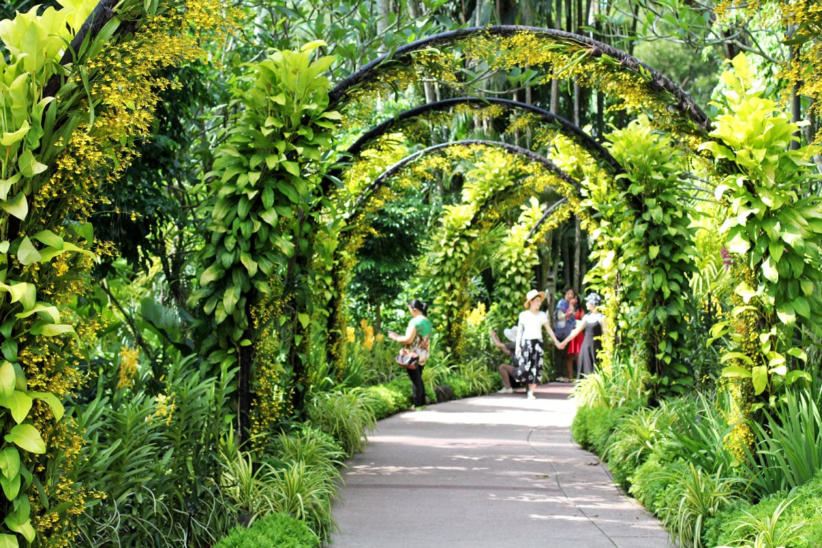 See the World's Biggest Display of Orchids at the National Orchid Garden in Singapore