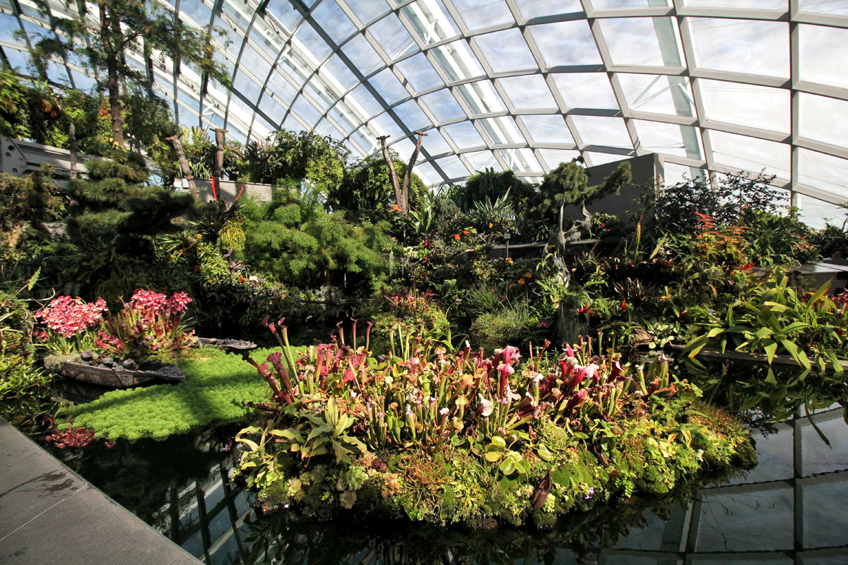 Cloud Forest, Gardens by the Bay, Singapore