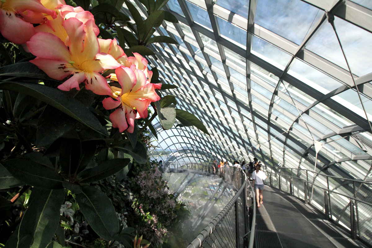 Cloud Forest, Gardens by the Bay, Singapore