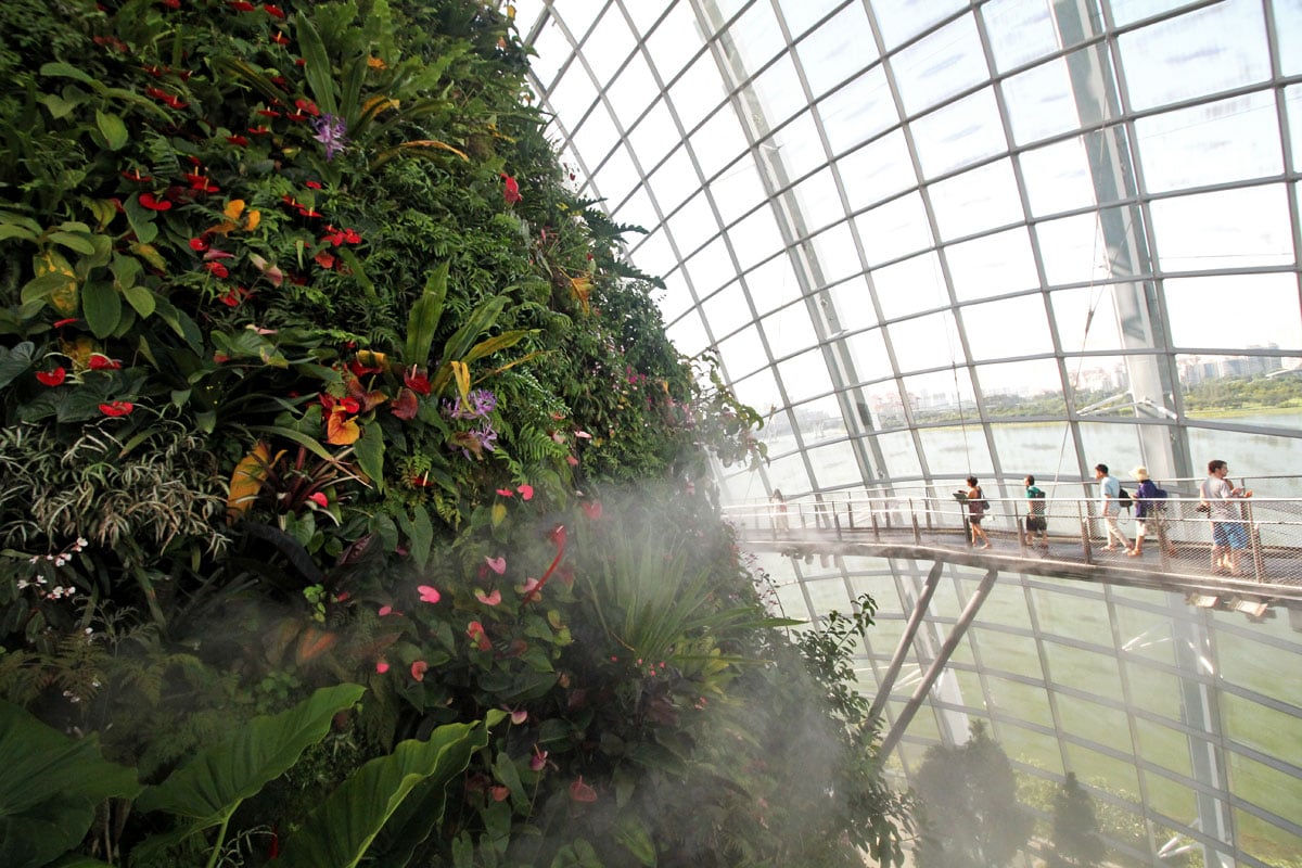 Cloud Forest, Gardens by the Bay, Singapore