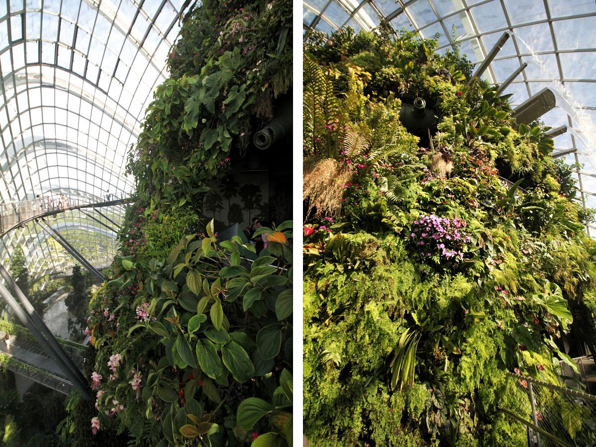 Cloud Forest, Gardens by the Bay, Singapore