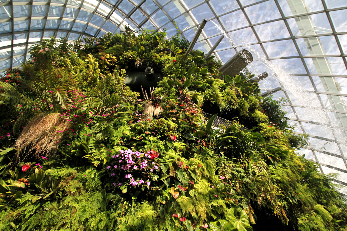 Cloud Forest, Gardens by the Bay, Singapore