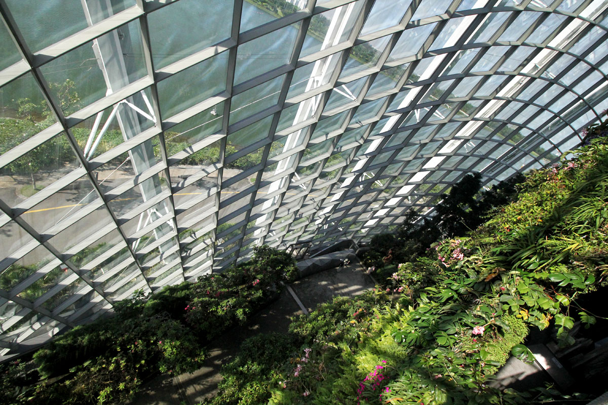 Cloud Forest, Gardens by the Bay, Singapore