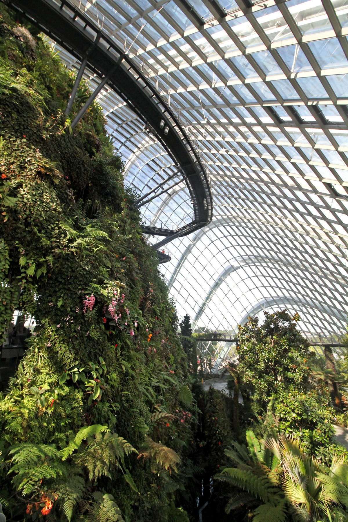 Cloud Forest, Gardens by the Bay, Singapore