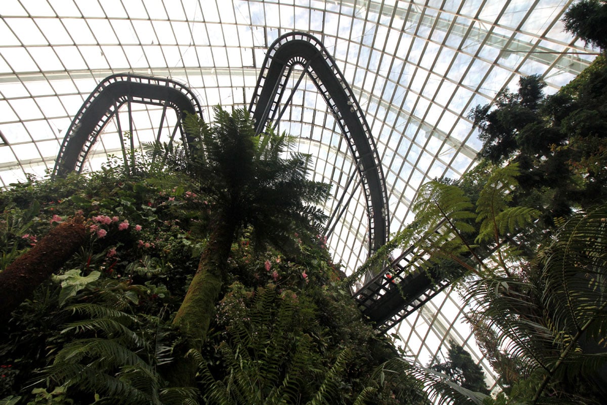 Cloud Forest, Gardens by the Bay, Singapore