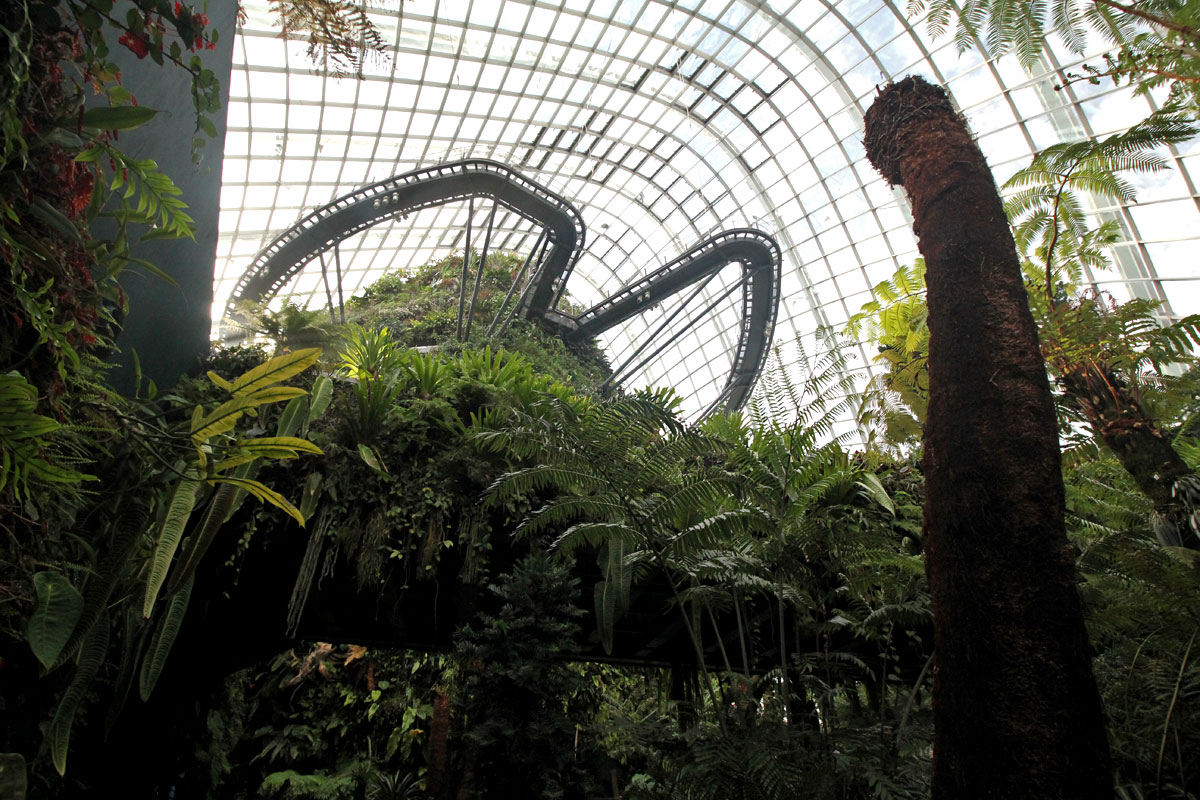 Cloud Forest, Gardens by the Bay, Singapore