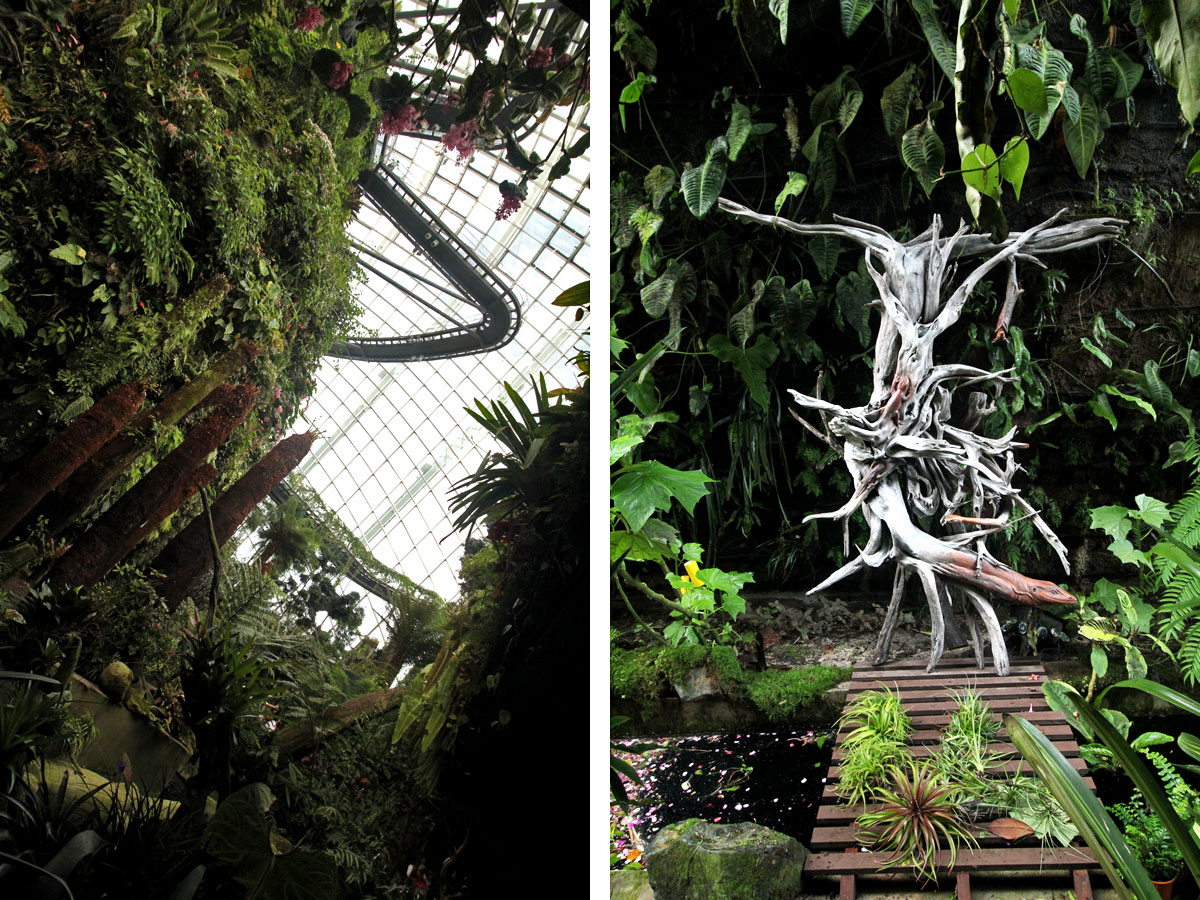 Cloud Forest, Gardens by the Bay, Singapore