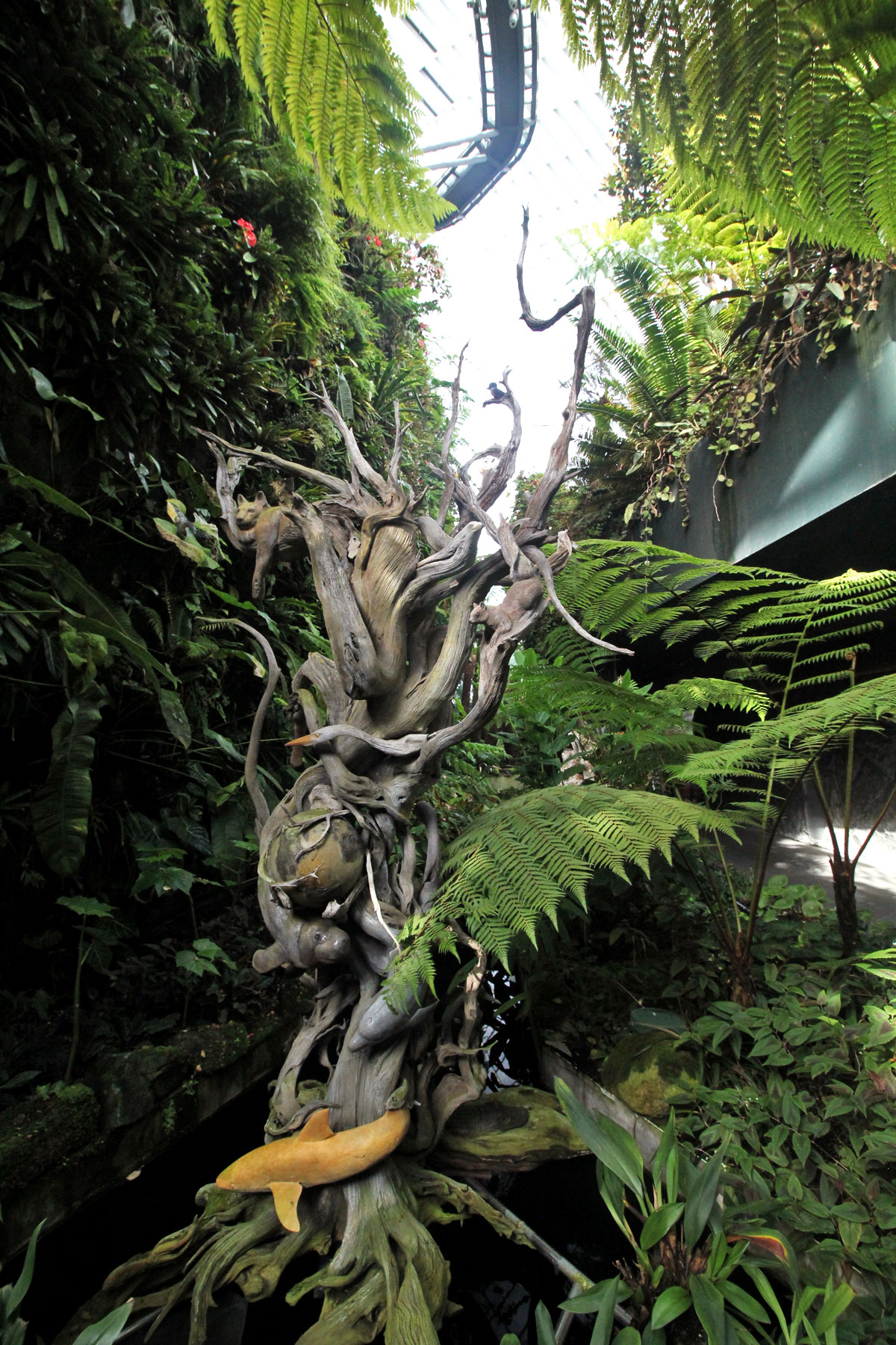 Cloud Forest, Gardens by the Bay, Singapore