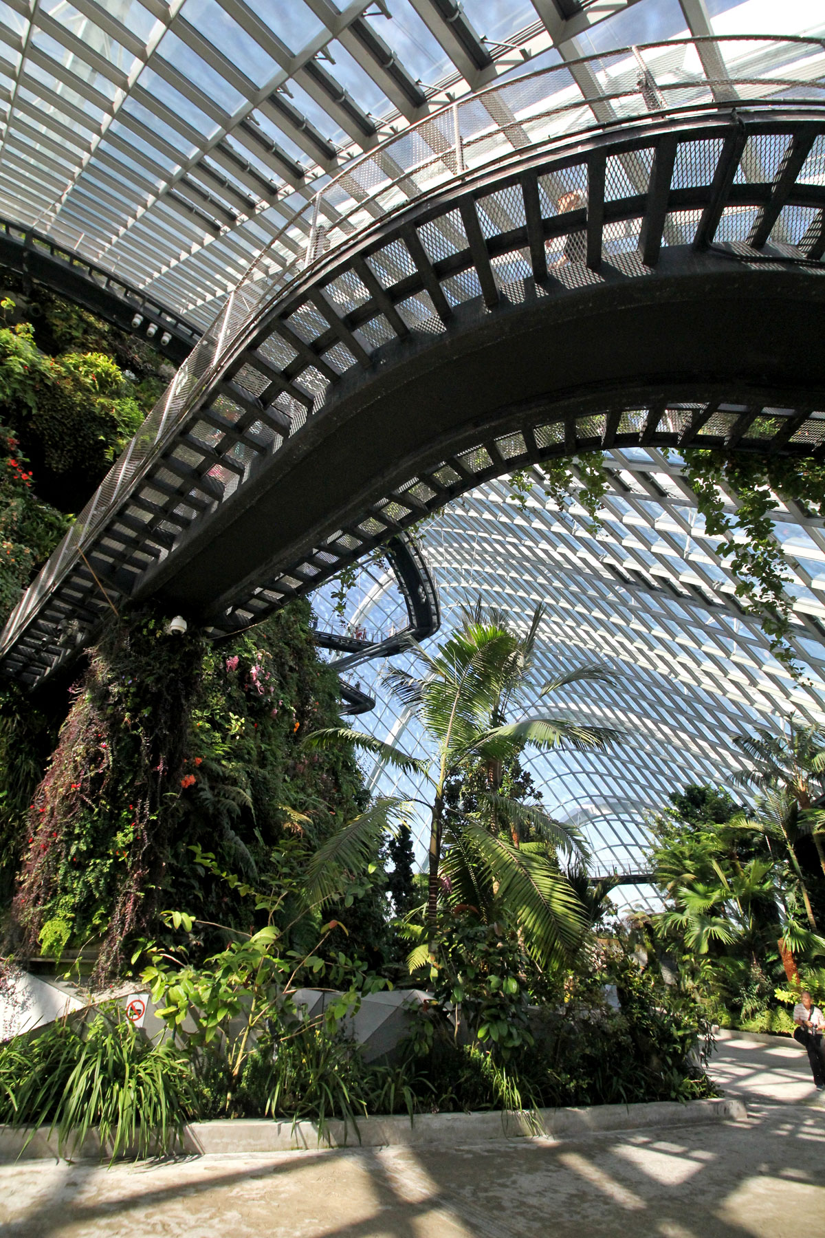 Cloud Forest, Gardens by the Bay, Singapore