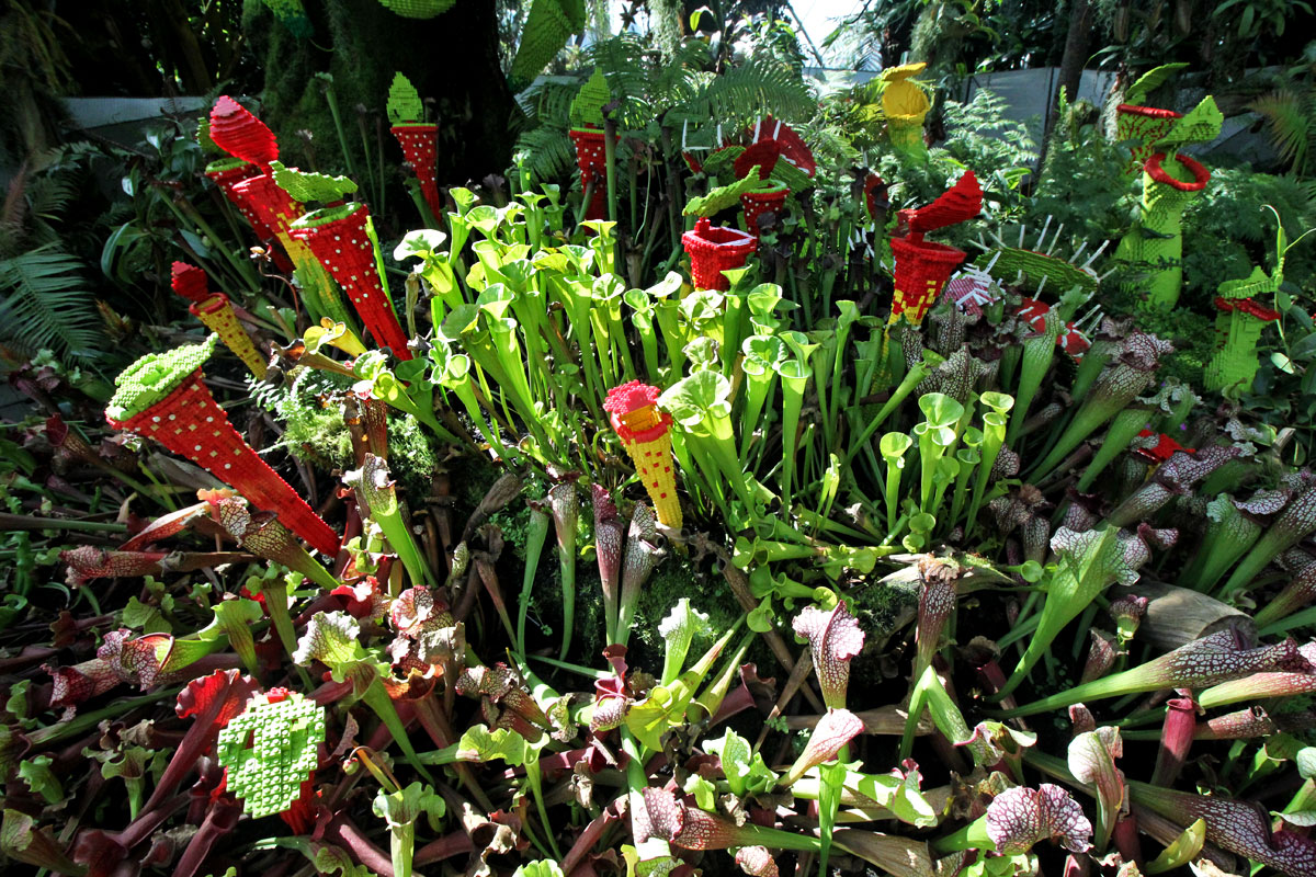 Cloud Forest, Gardens by the Bay, Singapore