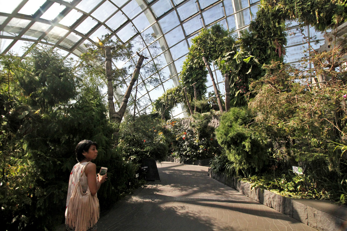 Cloud Forest, Gardens by the Bay, Singapore