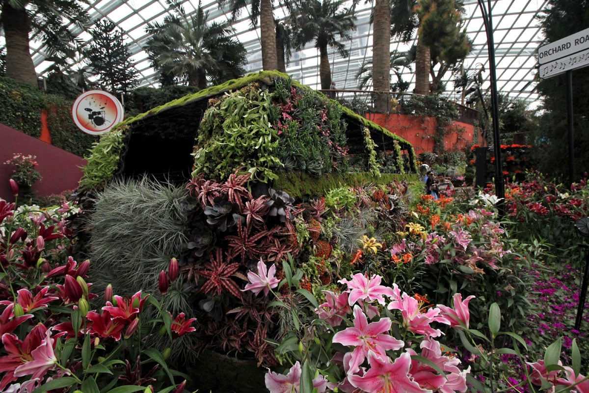 Flower Dome, Gardens by the Bay, Singapore