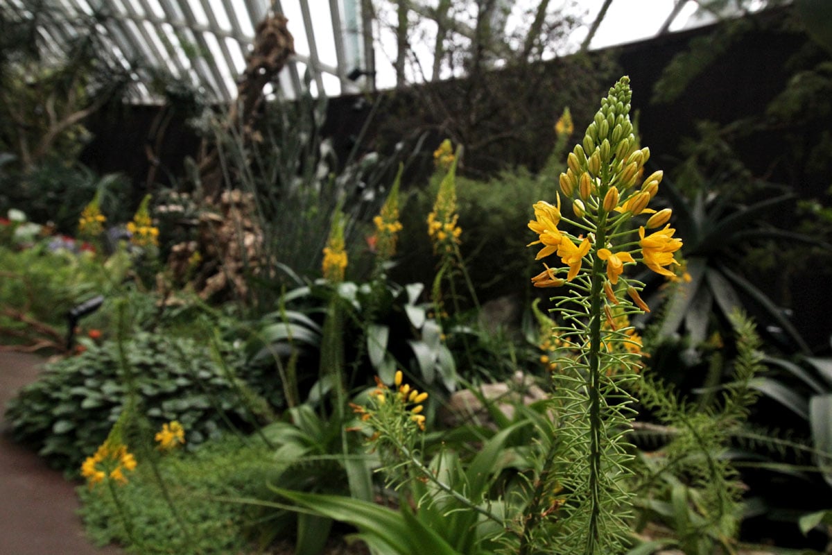 Flower Dome, Gardens by the Bay, Singapore