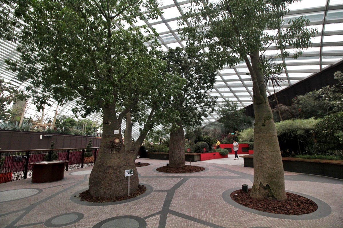 Flower Dome, Gardens by the Bay, Singapore