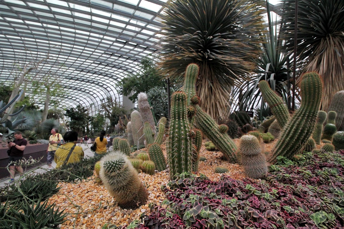 Flower Dome, Gardens by the Bay, Singapore