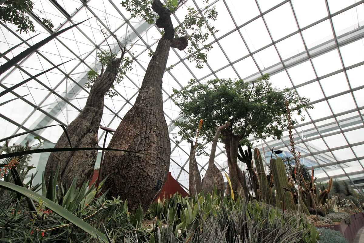 Flower Dome, Gardens by the Bay, Singapore