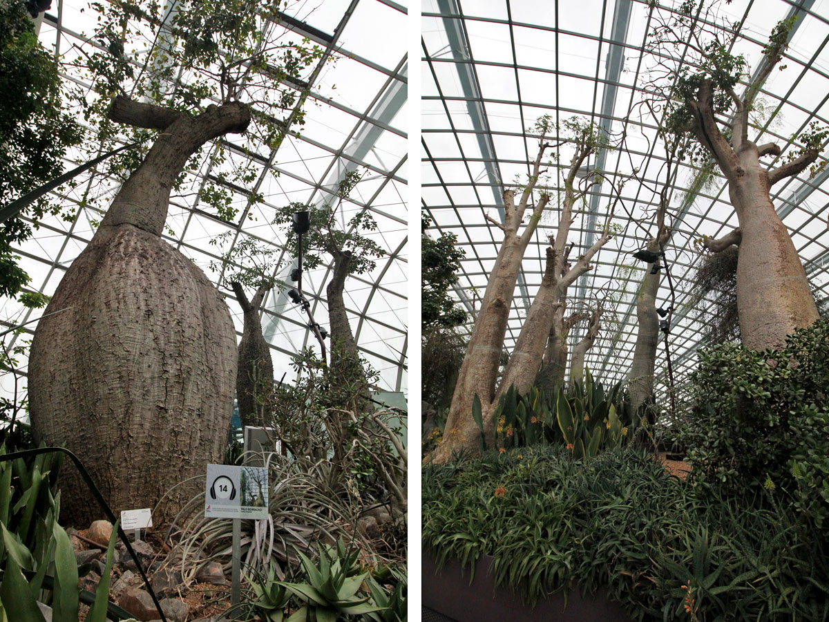 Flower Dome, Gardens by the Bay, Singapore