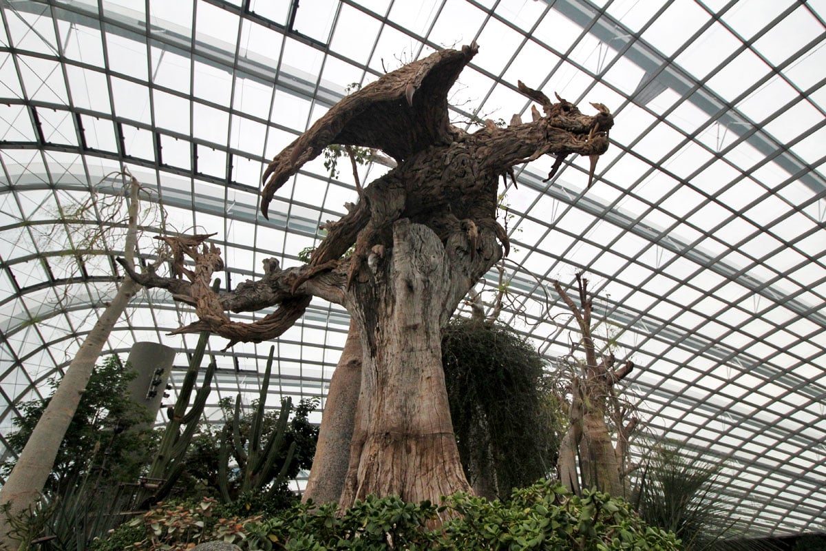 Flower Dome, Gardens by the Bay, Singapore