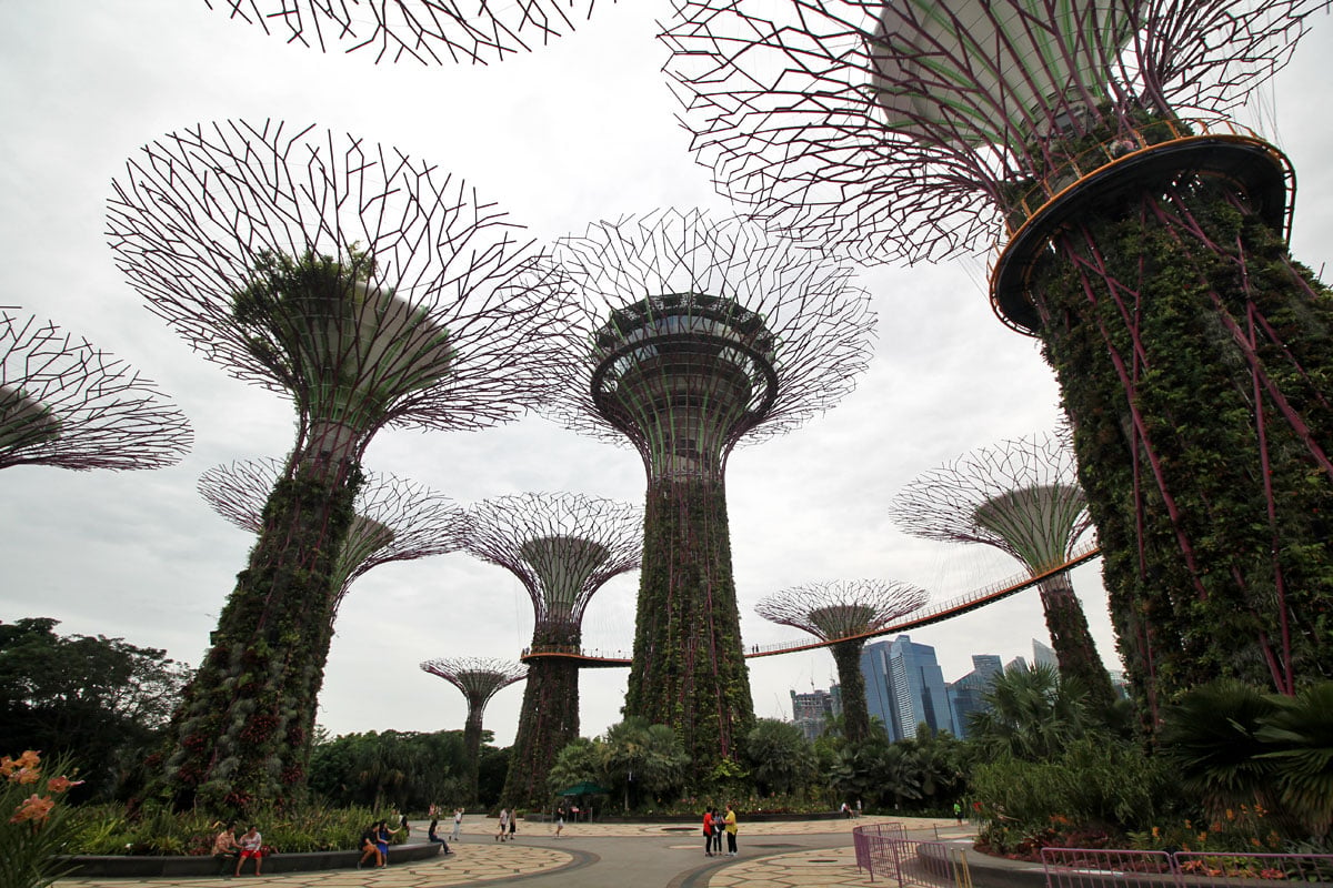 Supertree Grove, Gardens by the Bay, Singapore