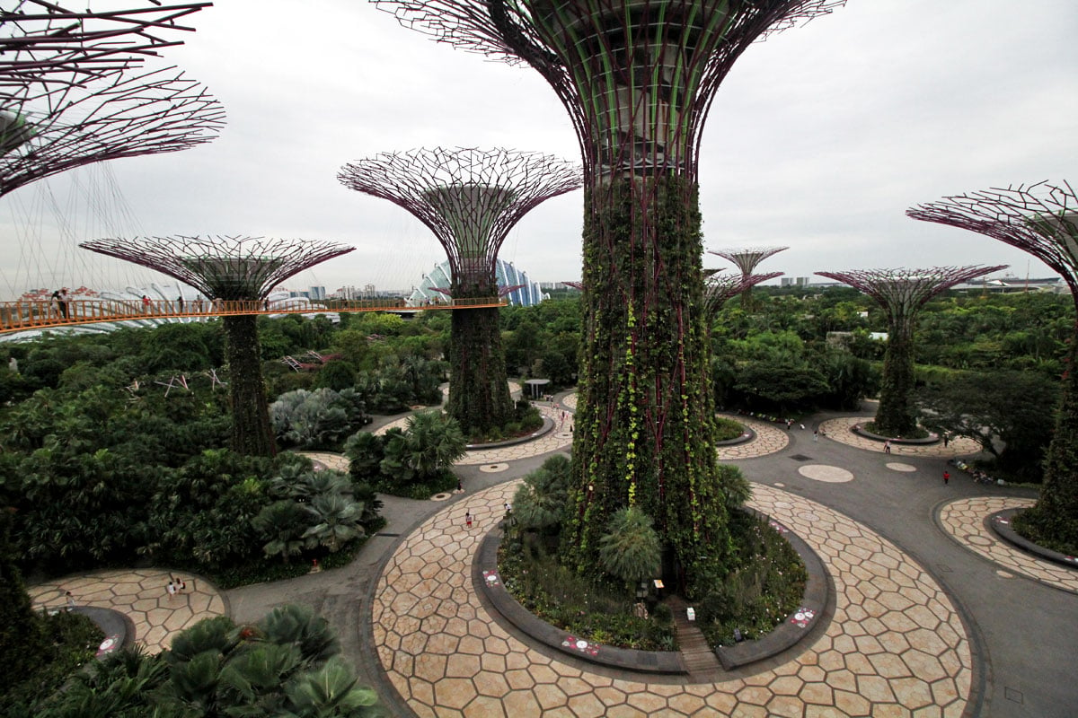 Supertree Grove, Gardens by the Bay, Singapore