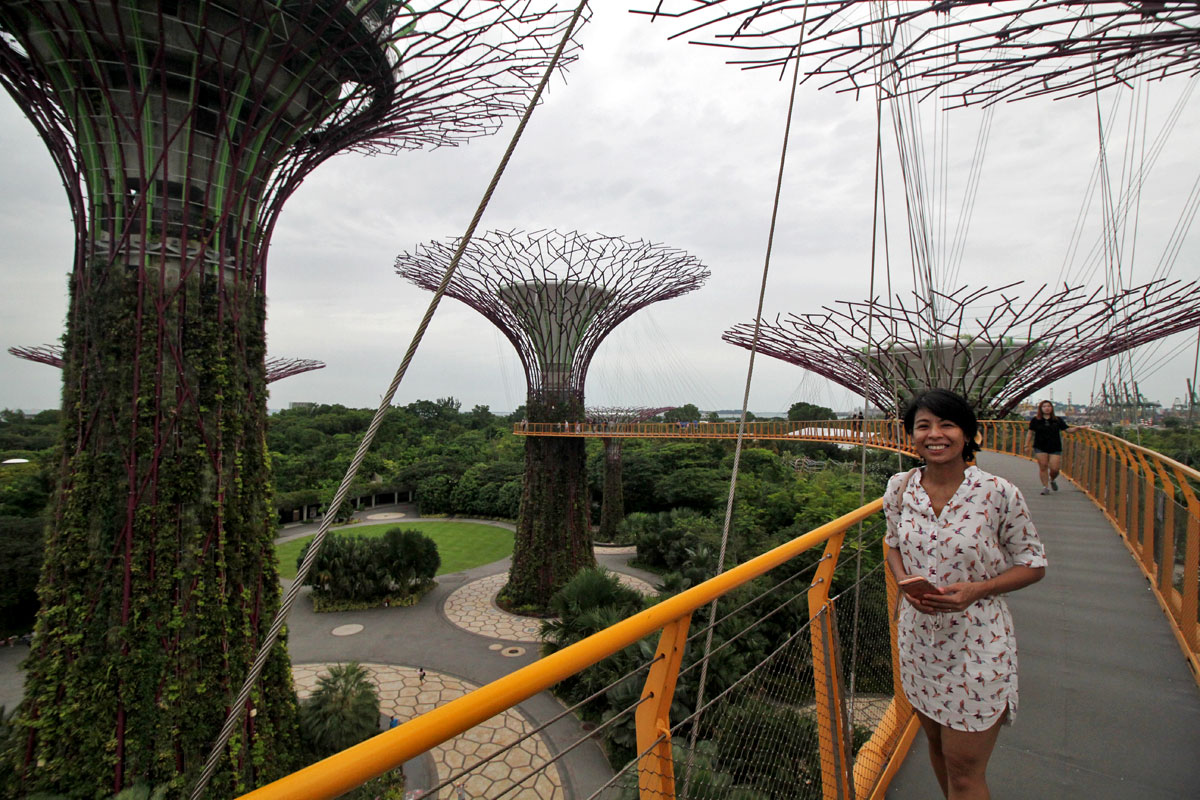 Supertree Grove, Gardens by the Bay, Singapore